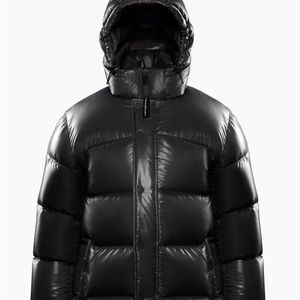 Aritzia super puff